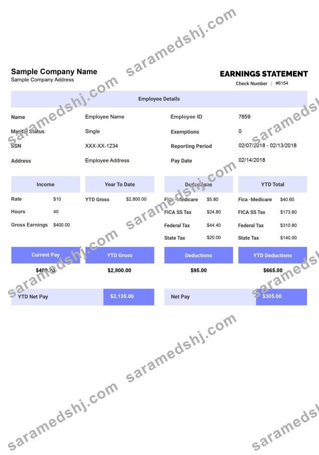 EARNINGS statement template Word and PDF format, version 2